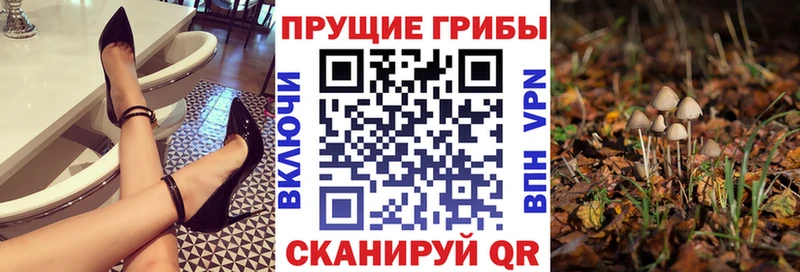 Псилоцибиновые грибы мухоморы  Купить где  Кадников 